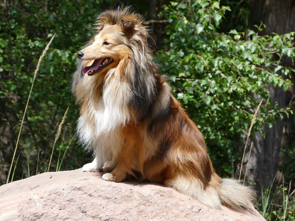 2020 05 24 Bonny.JPG