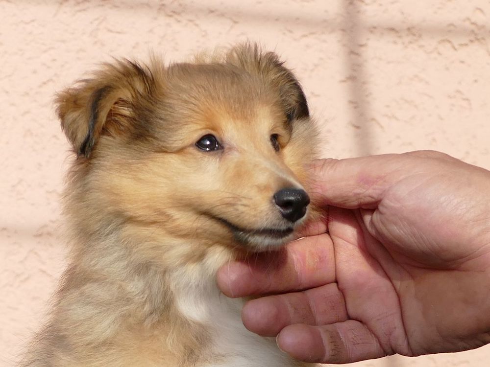 Bonny 02.JPG