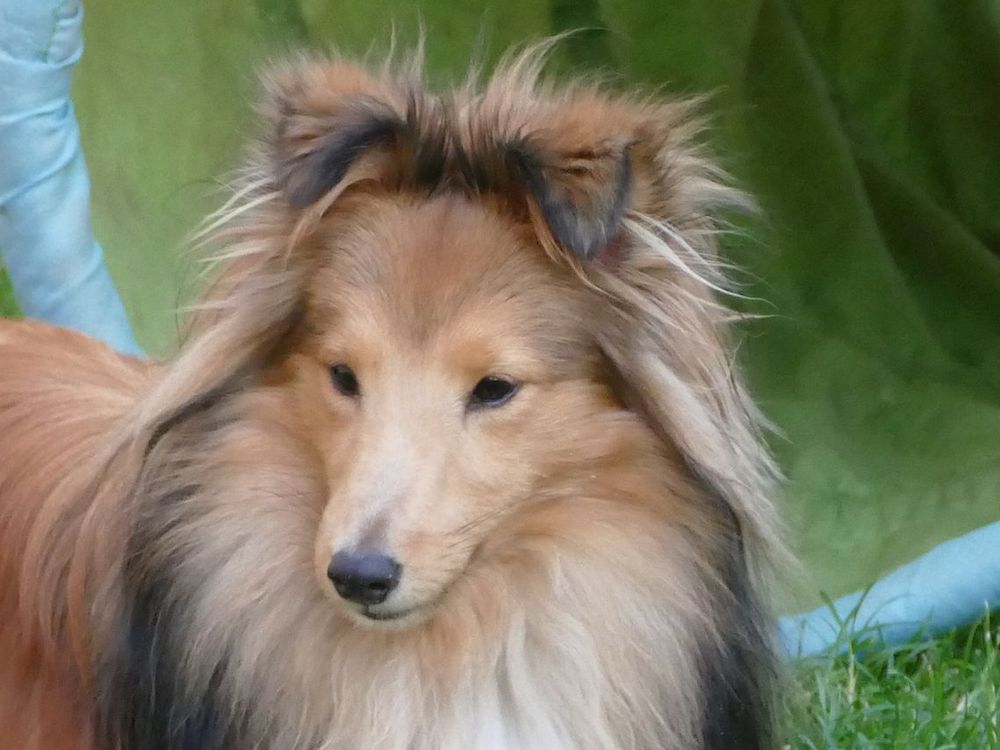 Bonny 08.jpg