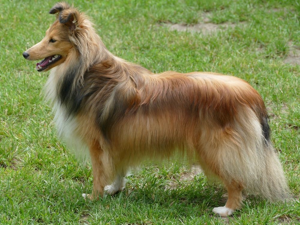 Bonny 10.jpg