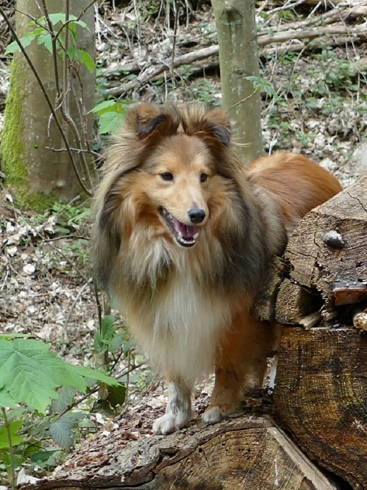 Bonny 11.jpg