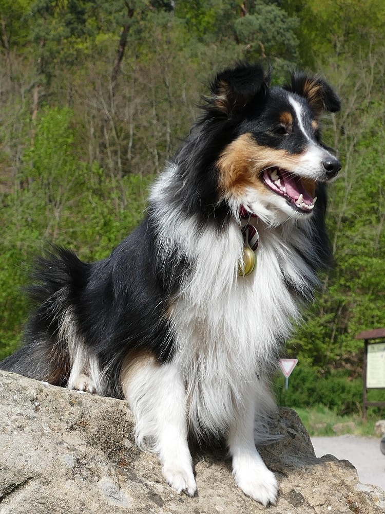 2020 04 19 Cassy.jpg