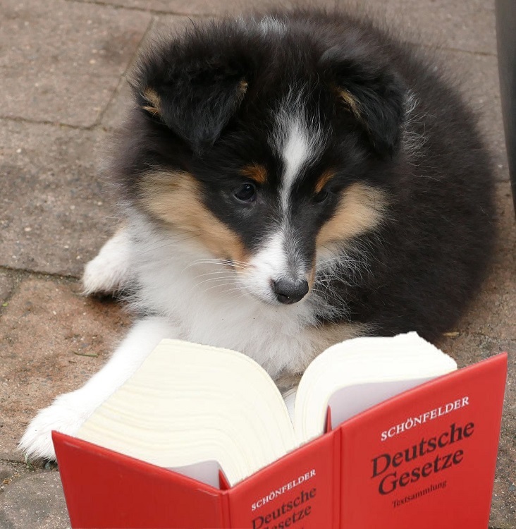 Cassy Mit Buch.jpg
