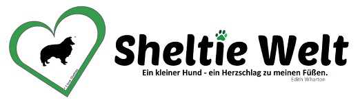 Schecker