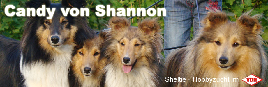 Candy von Shannon