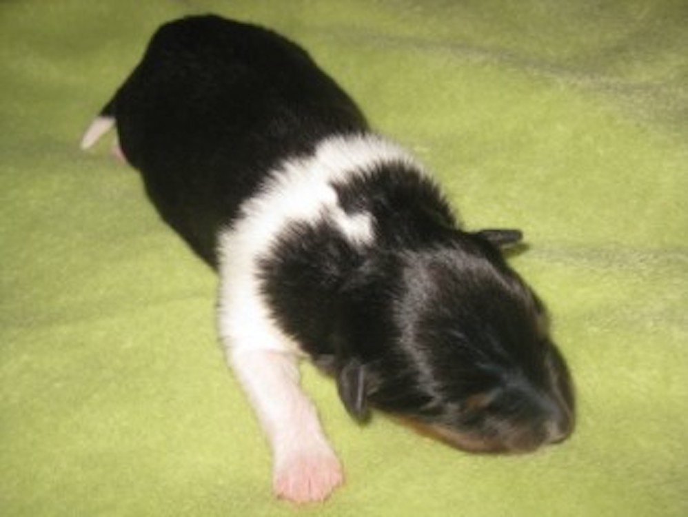 201107221.jpg
