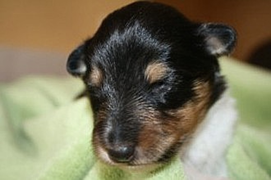 201107222.jpg