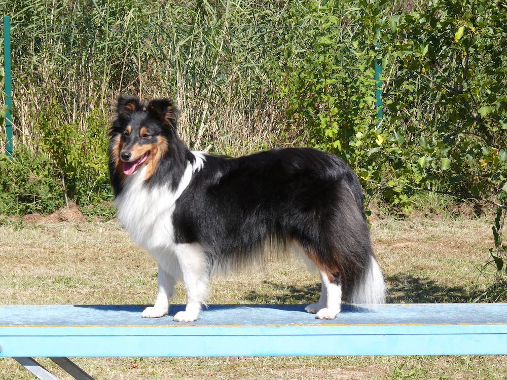 2012 09 08.jpg
