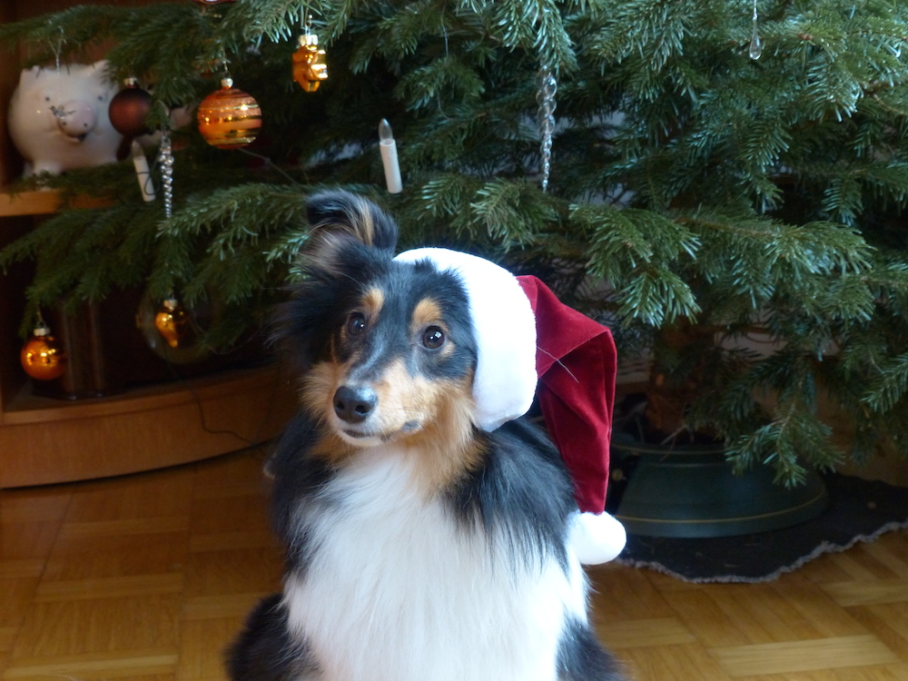 2012 12 25.jpg