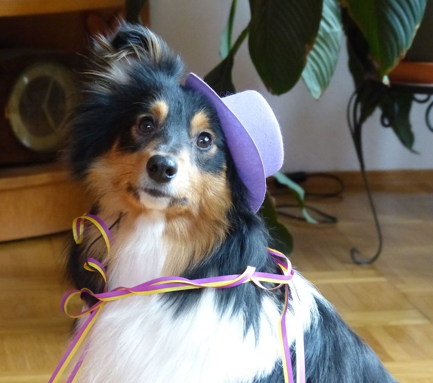 2013 01 16.jpg