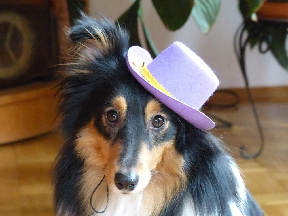 2013 02 09.jpg