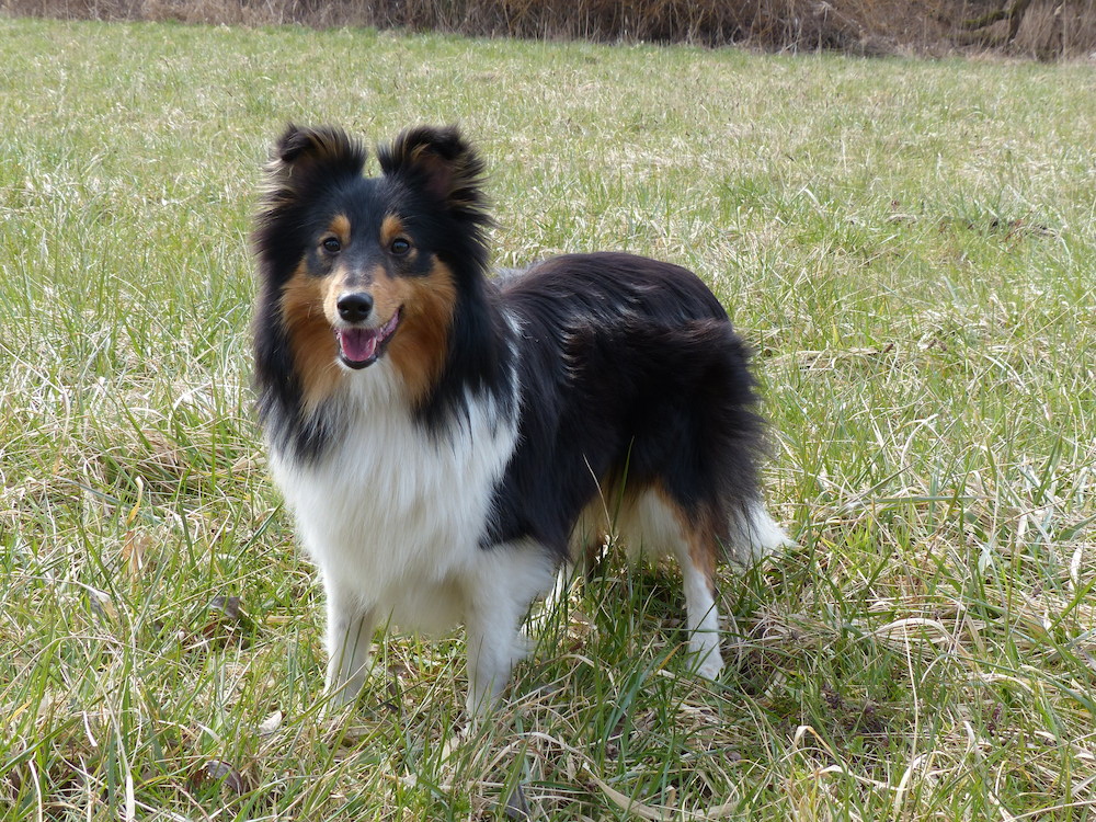 2013 03 24 1.jpg