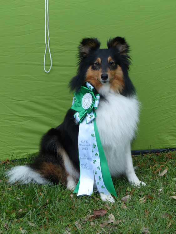 2013 04 28.jpg