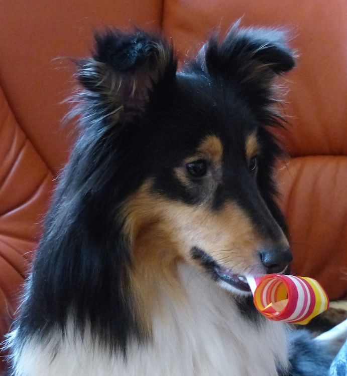 2013 06 16.jpg