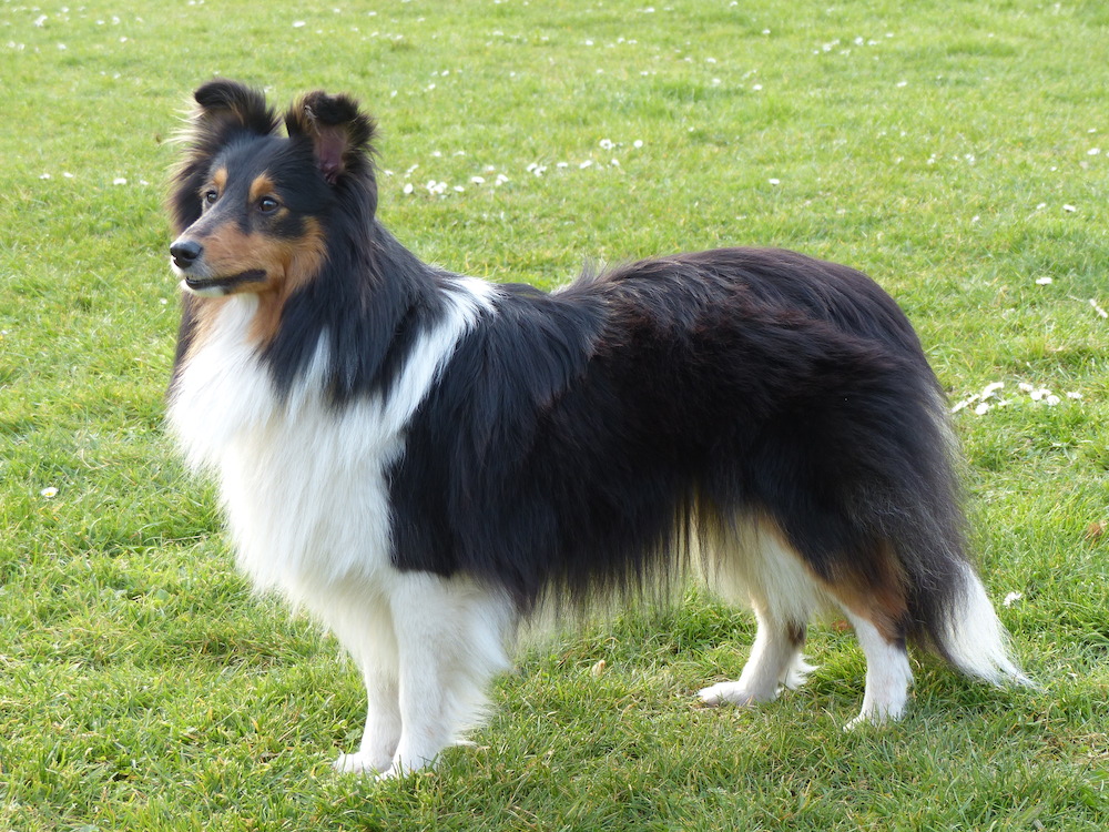 2014 03 29.jpg