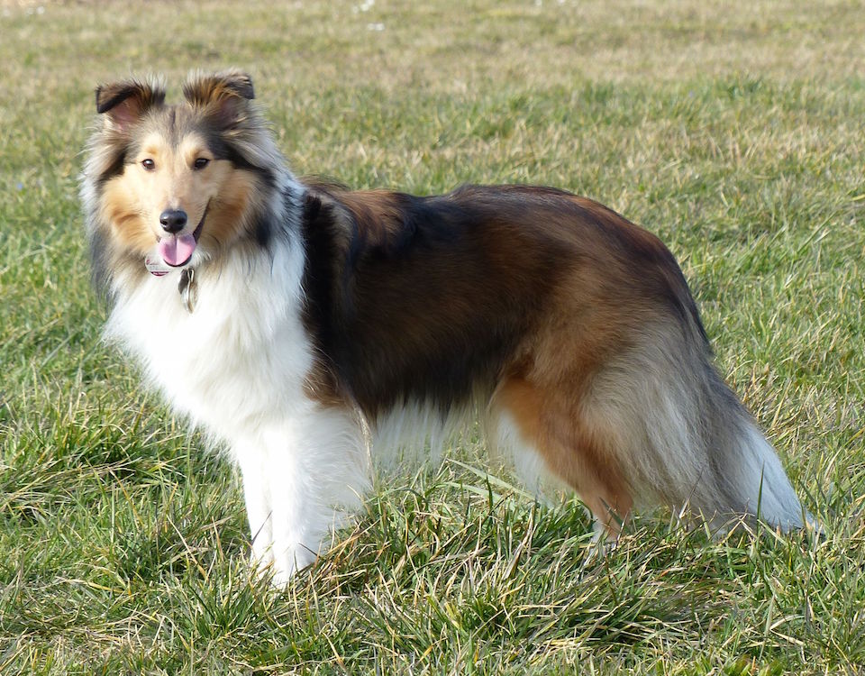 2015 03 08 2.JPG