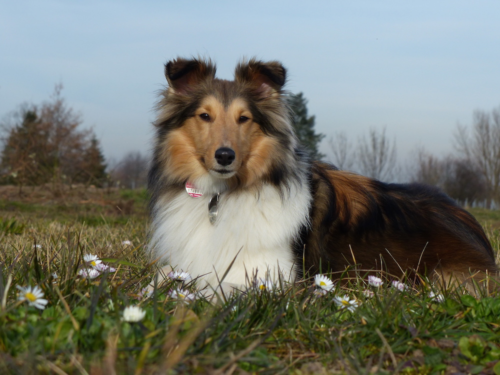 2015 03 08 3.JPG