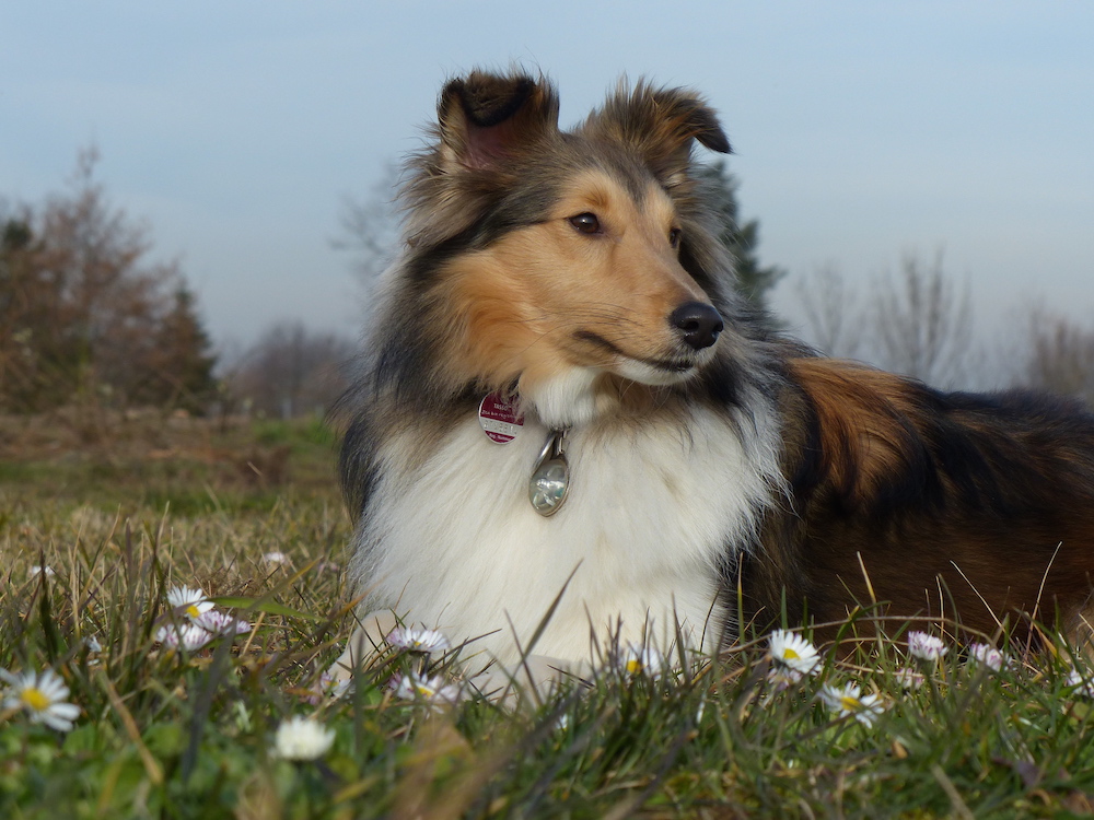 2015 03 08 4.JPG