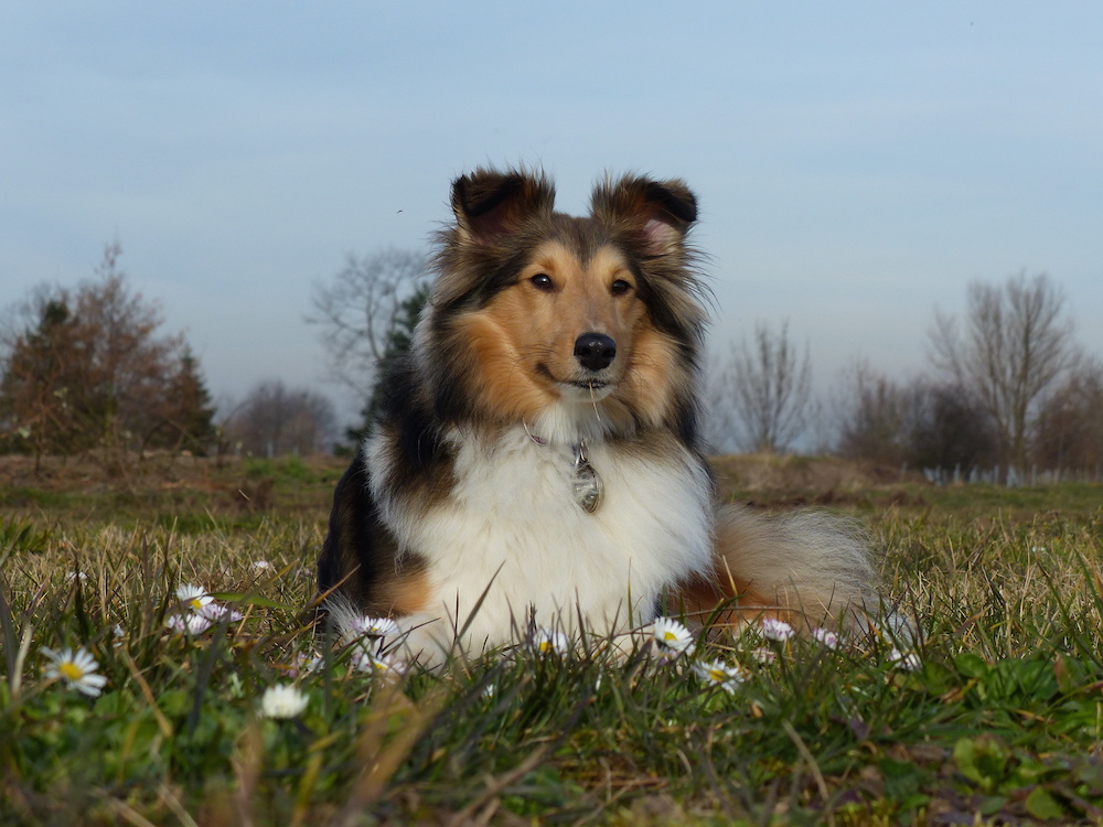 2015 03 08 5.JPG