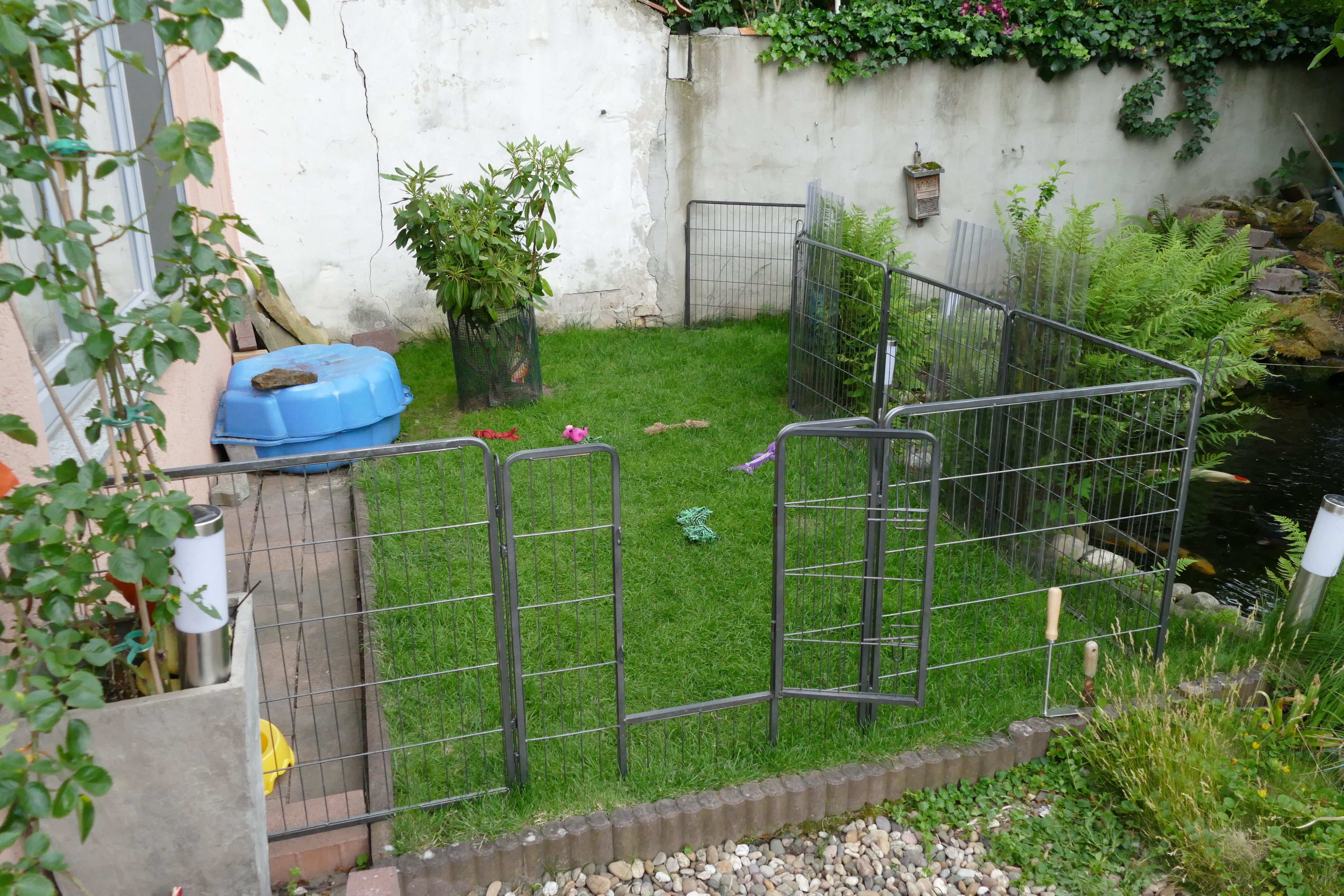 Welpen-Auslauf-Garten