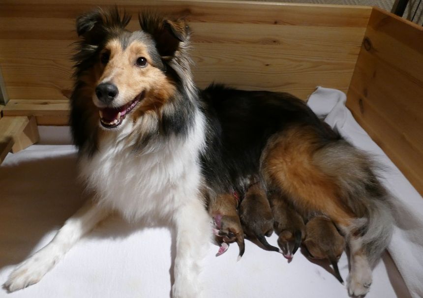 20190405 D Wurf Gruppe 1.jpg