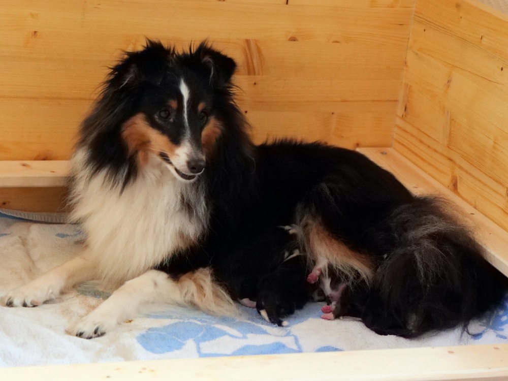 01 Cassy Nach Der Geburt.jpg