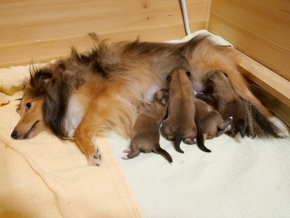 Gruppe Bild 3.jpg